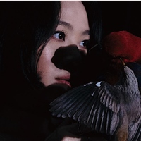 GIA LIANG 梁晏齊