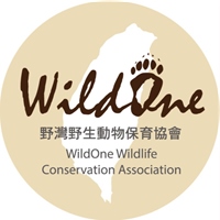 WildOne 野灣