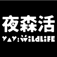 夜森活