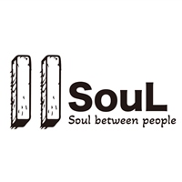 11 soul