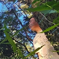 杜威翰