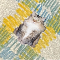 ˚𖦹培